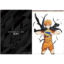 ★送料込★ハイキュー!!★日向翔陽★まとめ売り ハイキュー!! 日向翔陽 まとめ売り